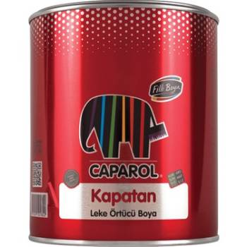FİLLİ BOYA İS-TUT LEKE ÖRTÜCÜ BOYA KAPATAN